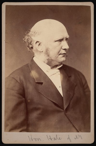 Portræt af Robert Safford Hale 1822-1881, før 1881. af Samuel Montague Fassett