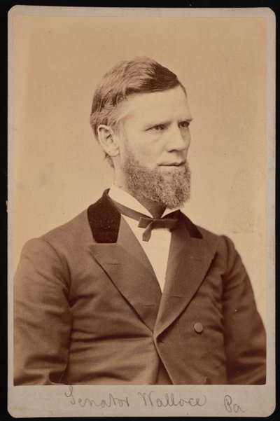 Portræt af William Andrew Wallace 1827-1896, mellem 1876 og 1880. af Samuel Montague Fassett