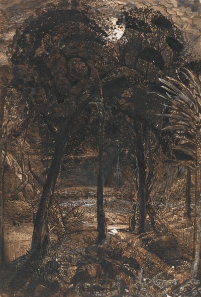 En månebelyst scene med en snoet flod af Samuel Palmer