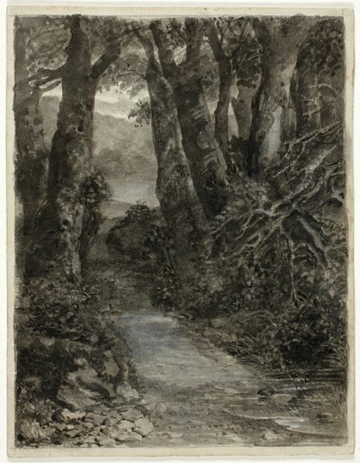 Et skovstudie af Samuel Palmer