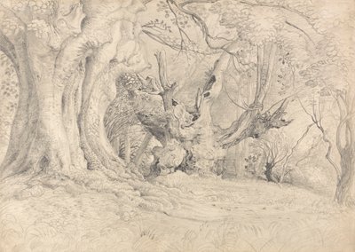 Gamle træer, Lullingstone Park af Samuel Palmer