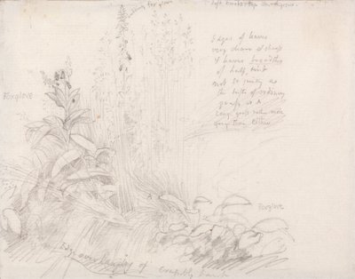 Rævehandsker af Samuel Palmer