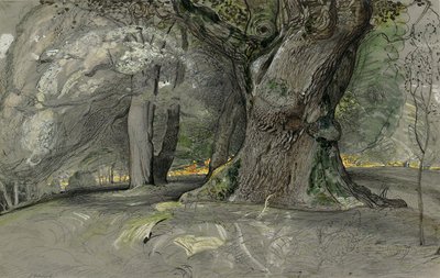 Egetræ og bøg, Lullingstone Park af Samuel Palmer