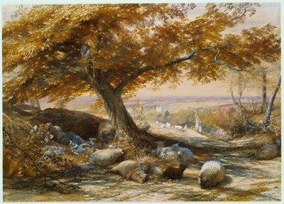 Får i skyggen, ca. 1851 af Samuel Palmer