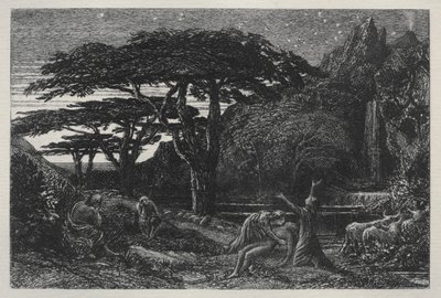 Cypress Grove, 1883. af Samuel Palmer
