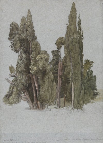 Cypresserne ved Villa d