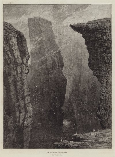 På Caithness kyst af Samuel Read