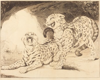 Leoparder af Samuel William Reynolds I after James Northcote