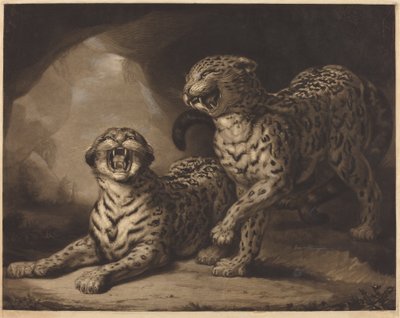 Leoparder af Samuel William Reynolds I after James Northcote