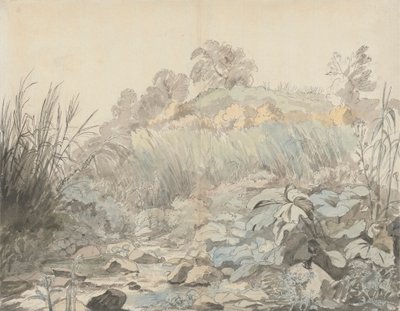 En stenet strøm af Samuel Woodforde