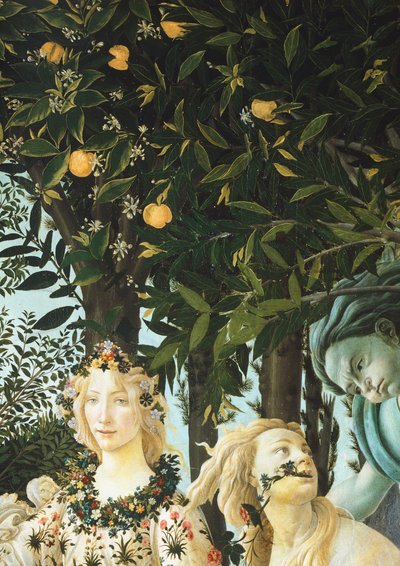 Flora, Zephyrus og Cloris, detalje fra The Allegory of Spring (Primavera), ca. 1477-1482 (tempera på træ) af Sandro Botticelli