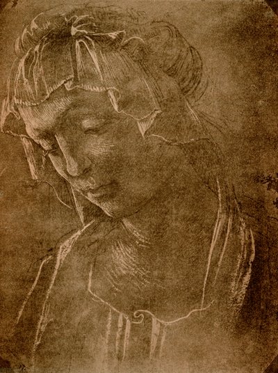 Kvindelig hoved af Sandro Botticelli