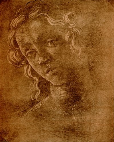 Kvindelig hoved af Sandro Botticelli