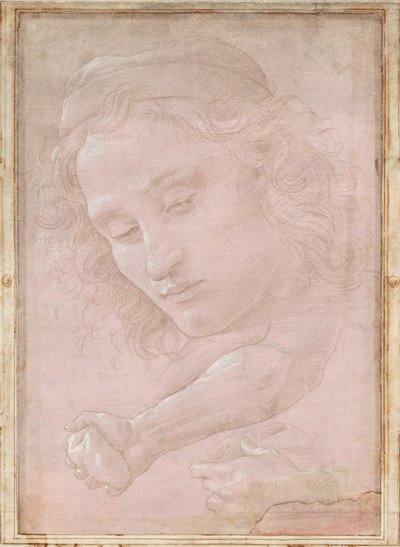Leder af en ungdom iført kasket; en højre Underarm med Haanden, der griber en Sten; og en venstre hånd, der holder et draperi af Sandro Botticelli
