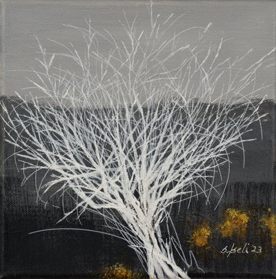  af Sandy Iseli