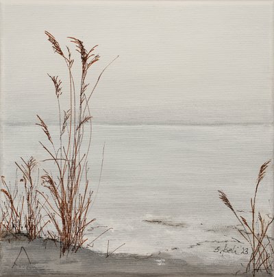  af Sandy Iseli
