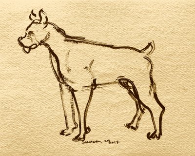 Skitse af en bokserhund af Santhosh ch