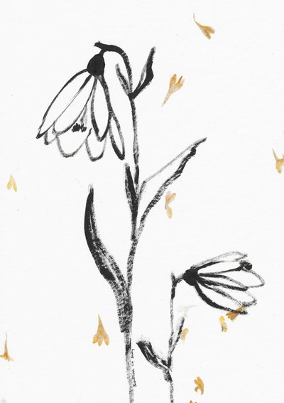 Sart blomsterskitse af Santhosh ch