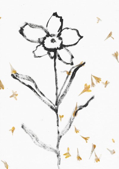 Sart blomsterskitse af Santhosh ch