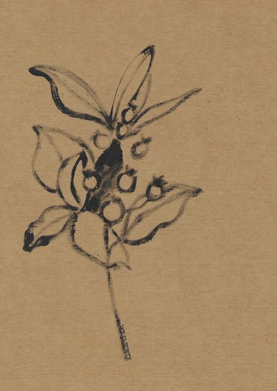 Botanisk illustration i jordfarver af Santhosh ch