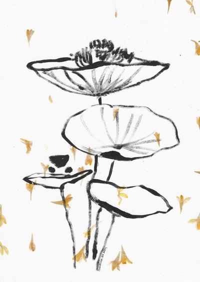 Faldende gylden lotus af Santhosh ch