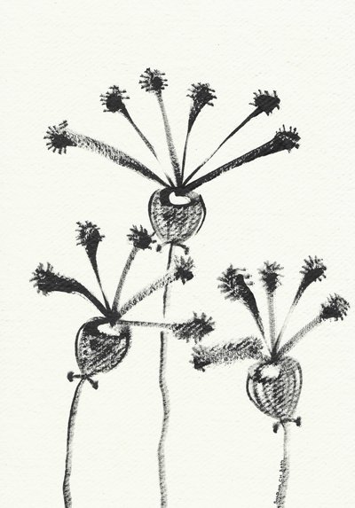 Minimalistisk botanisk tegning af Santhosh ch