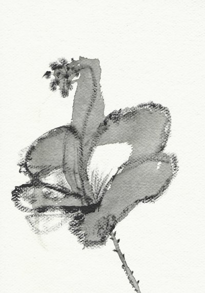 Monokrom blomsterstudie af Santhosh ch