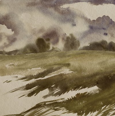 Moody Field under stormskyer af Santhosh ch
