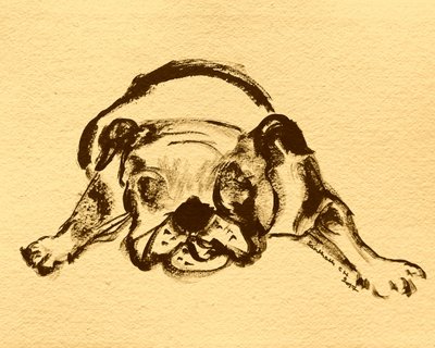 Legesyg bulldogskitse af Santhosh ch