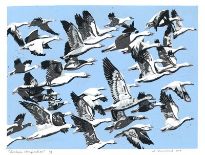 Eschers inspiration, 2017 (linoleumssnit) af Sarah Drummond
