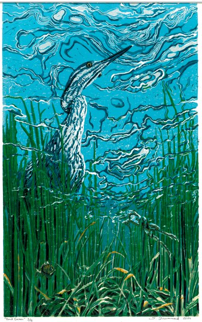 Pond Gazer, 2024 (linoleumssnit) af Sarah Drummond