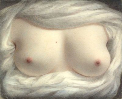 Skønhed afsløret, 1828. af Sarah Goodridge