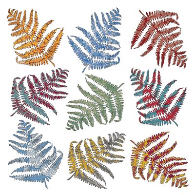 Ferns, 2012 (digital) af Sarah Hough