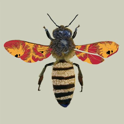 Honey Bee, 2010 (digital) af Sarah Hough