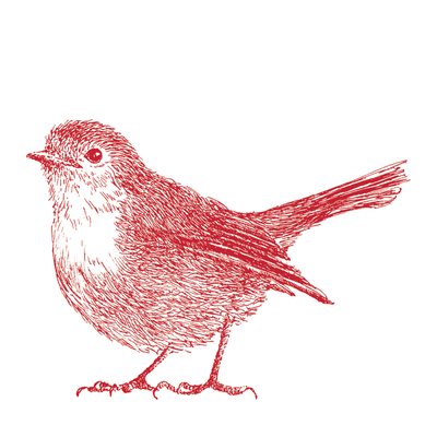 Robin, 2017 af Sarah Hough