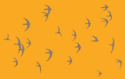 Swifts, 2017 af Sarah Hough