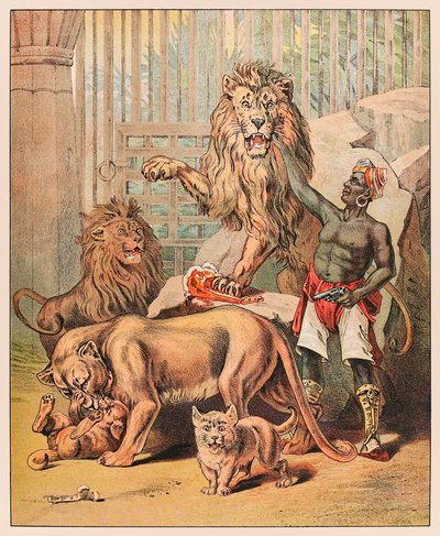 Optrædende løver med deres handler på Barnum & Bailey Circus fra P.T.Barnum