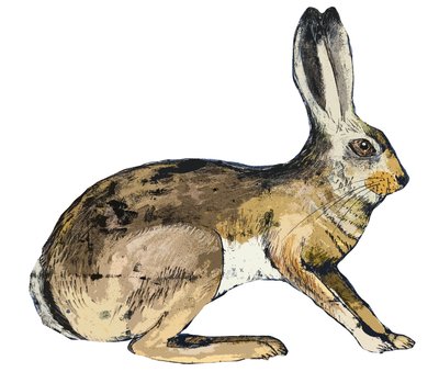 Hare, 2024 (monoprint) af Sarah Thompson Engels