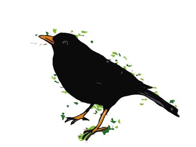 Blackbird, 2018, (digital tegning) af Sarah Thompson Engels