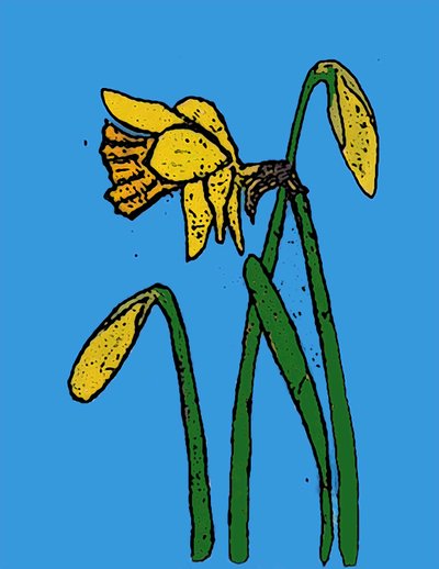 Påskeliljer, 2015 (monoprint med blæk) af Sarah Thompson Engels