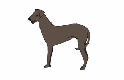 Hound, 2018, (digital tegning) af Sarah Thompson Engels