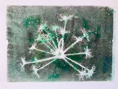 Seedhead I,2020,(monoprint) af Sarah Thompson Engels