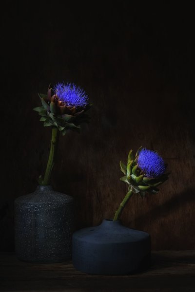  af Saskia Dingemans