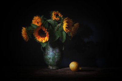  af Saskia Dingemans