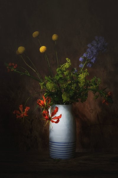  af Saskia Dingemans