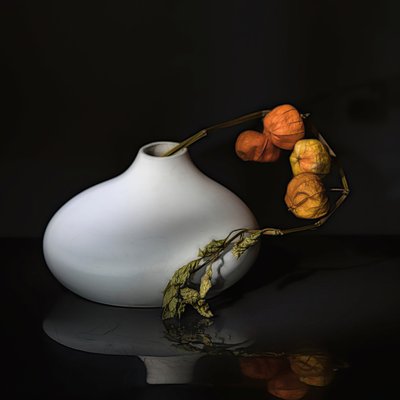  af Saskia Dingemans