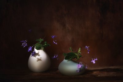  af Saskia Dingemans