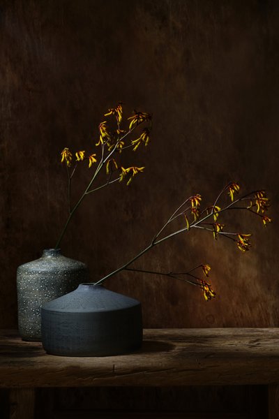  af Saskia Dingemans