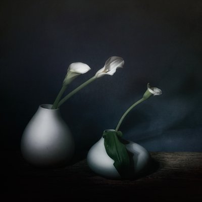  af Saskia Dingemans