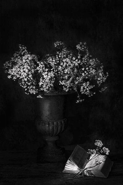  af Saskia Dingemans